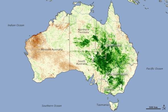 美国卫星图片揭示澳洲中部植被异常茂密景象(