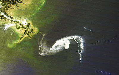 墨西哥湾原油污染面积迅速扩大 清理或需5年(