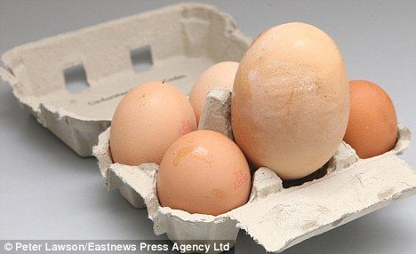 英国诞生世界上最大的鸡蛋