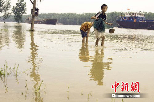 淮河流域淮滨段水位回落 孩子们浑水摸鱼