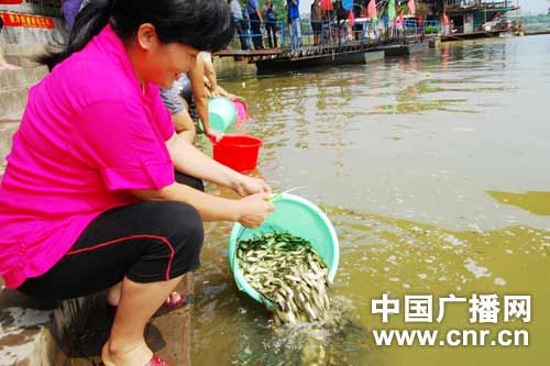 放流鱼苗最新消息 8A6D1PM9_0.jpg