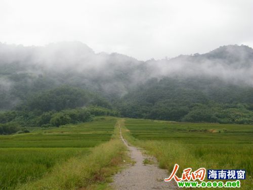 新闻特写:五指山深处农庄的平凡婚礼(组图)_五