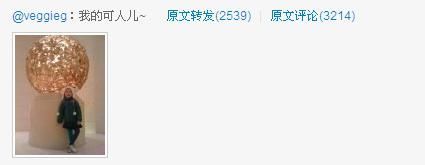 <em>王菲微博</em>发疑似<em>李嫣照片</em> 名为我的可人儿_人