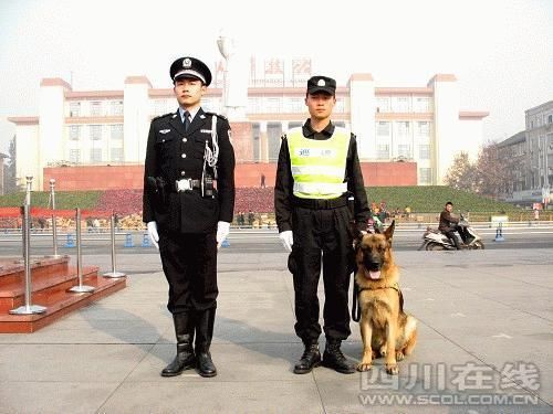 标兵岗首次亮相天府广场携警犬元旦上岗组图