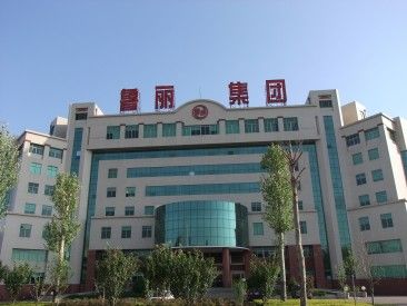 鲁丽集团加强党建建设促进生产发展