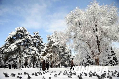雪后的哈萨克斯坦苹果城(2)(图),哈萨克斯坦 