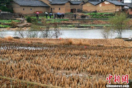 电(王剑何柳斌)江西省会昌县周田镇新圩村一农田23日开始发生地面沉降