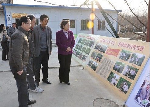 科协领导参观丹凤县棣花镇万湾村果业协会