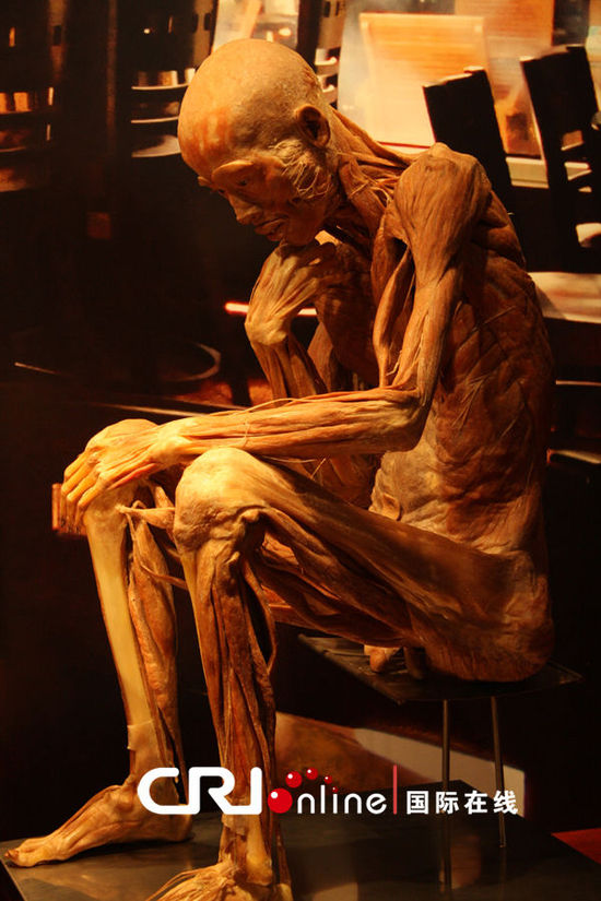 <em>泰国</em>曼谷举办<em>人体</em>之美<em>艺术</em>展(高清组图)_<em>泰国</em>