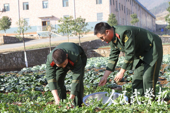 武警8692部队提高冬季蔬菜生产自补能力
