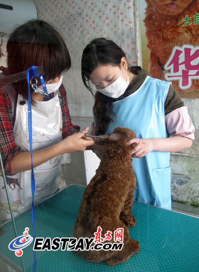 记者调查:沪 用工荒 趋专业化 建材店三千月薪聘