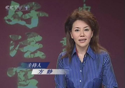 <em>中央电视台主持人方静</em>(资料图片)