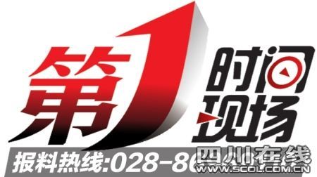 联合国秘书长安南_联合国秘书长收入(3)