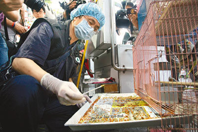 香港染禽流感患者被隔离 被指在内地感染几率