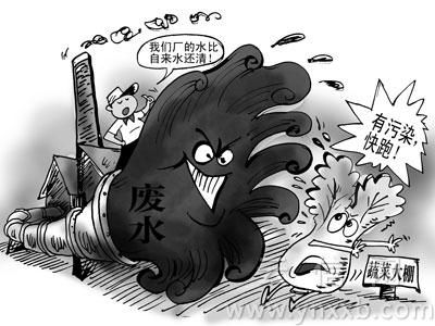 村民称,由于泡沫厂向外面偷偷地排放污水,造成很多大棚里面的蔬菜都被