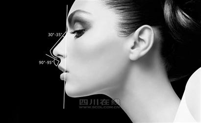 2010 韩国鼻中隔软骨隆鼻席(组图),隆鼻 软骨 鼻中隔