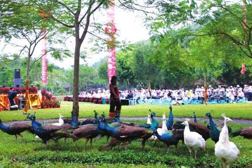 西双版纳热带雨林保护基金会成立 募款510万元