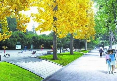 成都游乐园变身成华公园 年底开建明年7月开放