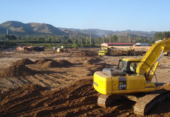 佳木斯地径0.6黄柏_佳木斯人均多少亩地(2)