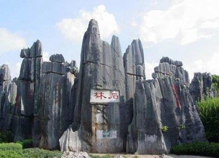 可于天根据火车站前或世博园门前发的广告报一个石林一日游的旅游