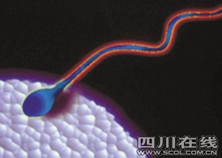 人类精子造出来女人怀娃不靠男