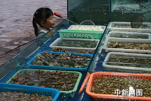 温州海鲜交易市场_海鲜市场_塘沽海鲜市场