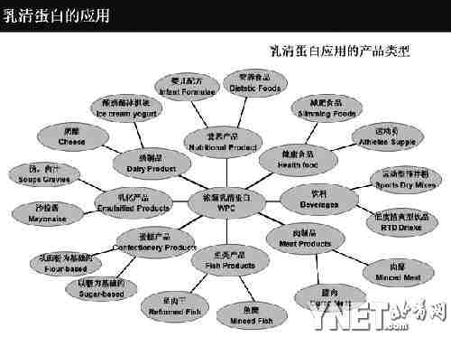 上超市你选含乳清蛋白的食品吗 - 美食频道[温