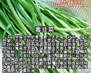 受毒韭菜事件影响青岛农贸市场不见韭菜踪影