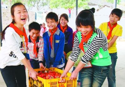 广西百色田阳县