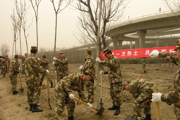 打造绿色津城 武警8630部队数百官兵义务植树