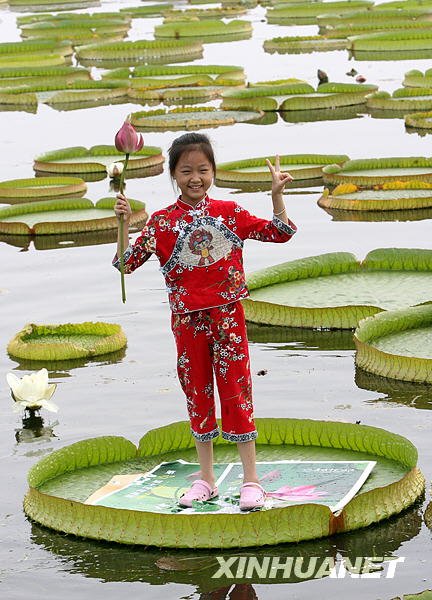 组图:"王莲大力士"托起姑苏娃