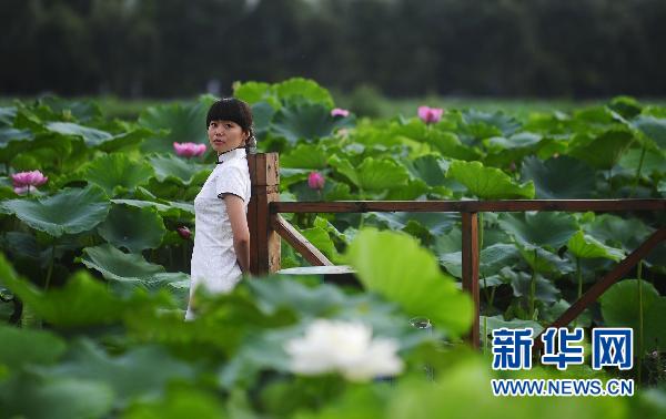 7月10日,成都市三圣乡的"荷塘月色"景区,一位女孩在荷塘中间留影.