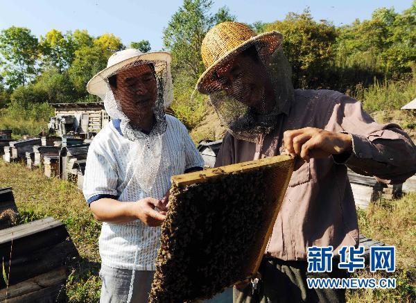 饶河县人口_饶河县