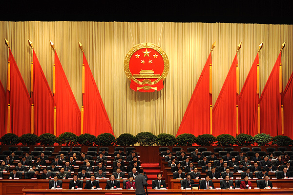 重庆人大会议选举王立军为第十一届全国人大代表