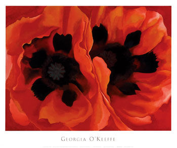 色之花欲之花 花之灵性记录者欧姬芙PK王小慧