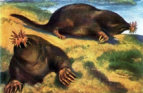 12749335_1301n.jpg