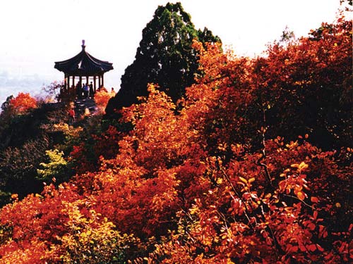 中国十大秋游目的地出炉香山红叶居榜首