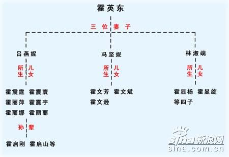 分析谁可能成为霍英东接班人组图