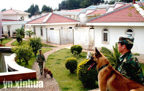 資料圖片:公安部昆明警犬基地訓練犬犬舍區