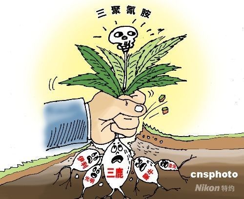 美国食品及药管局:摄入微量三聚氰胺对身体无害(组图)