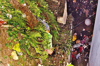 歹徒跳崖逃跑 樹藤纏腳倒掛山腰(圖)