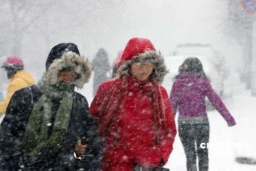 图山东潍坊遭遇大风雪天气