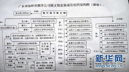 图为广东省汕尾市烟草专卖局局长陈文铸家族成员组织结构图(1月13日摄