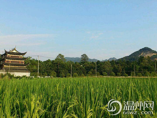 鹿城驿头:蜕变中的都市后花园_独家报道_温州网