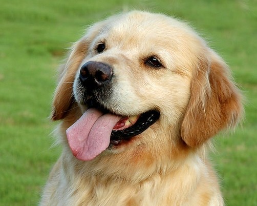 眼珠子!掉下来了!