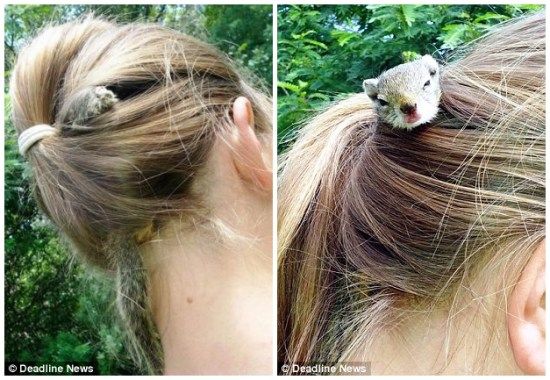 ����Ů����β�赱�ҡ��ľӡ�ͷ��������(ͼ)