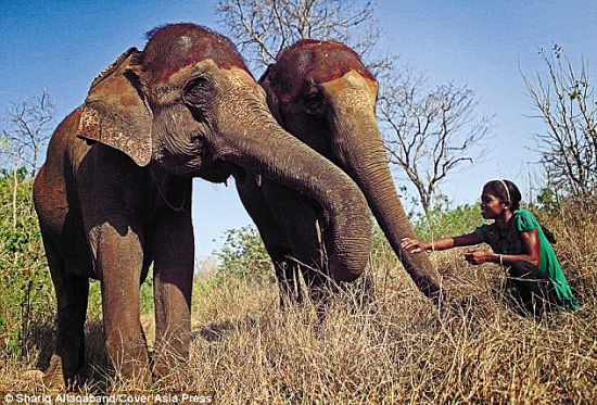 ӡ��17�ꡰ�����ߡ� ������ѱ������