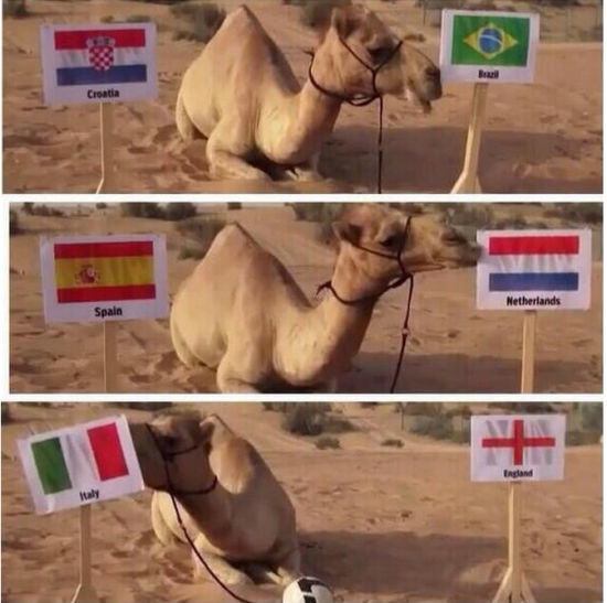 ����ɳ�ն������˼�������Ծ��Ľ��