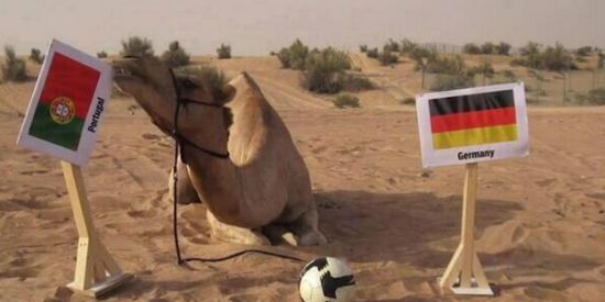 ���տ������������ܵ¹�
