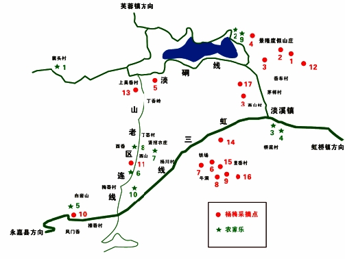 乐清市第八届杨梅文化节6月21日在淡溪开幕